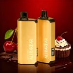 Alibarbar INGOT 9000 Puffs Disposable Vape