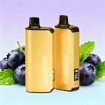 Alibarbar INGOT 9000 Puffs Disposable Vape