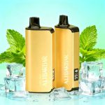 Alibarbar INGOT 9000 Puffs Disposable Vape