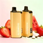 Alibarbar INGOT 9000 Puffs Disposable Vape