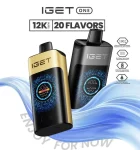 IGET ONE 12000 Puffs Disposable Vape