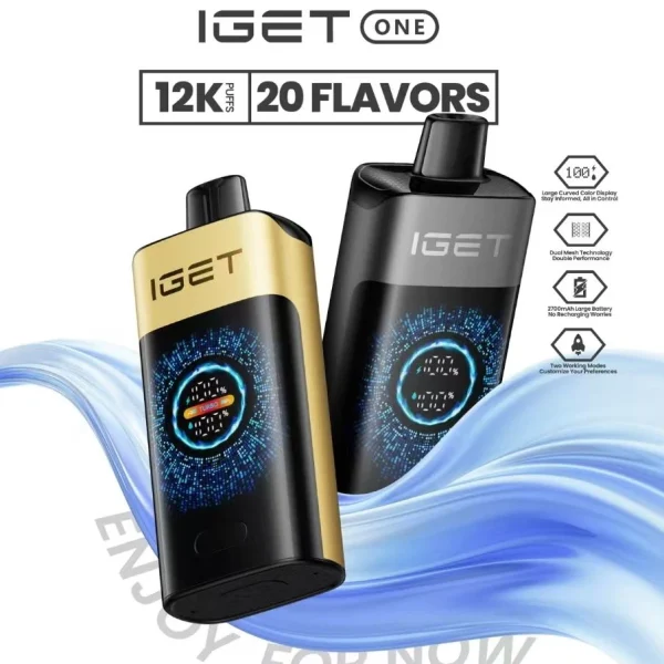 IGET ONE 12000 Puffs Disposable Vape